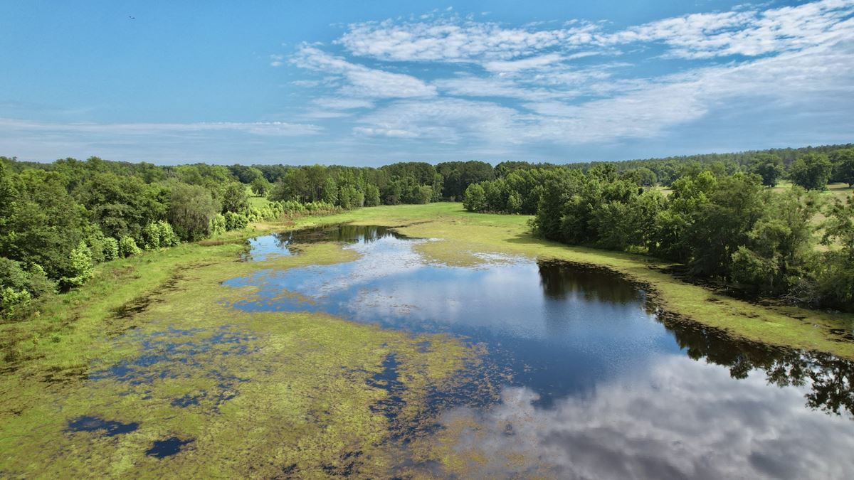 Walden Farm