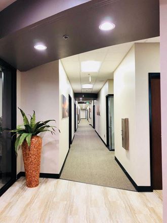 Succeed Professional Suites - SPS Roseville