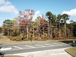 Union Church Road - 10.07 Acres