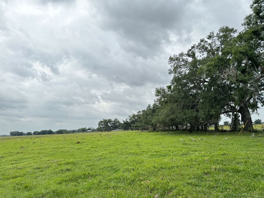 Riverline Ranch and Development