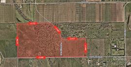 For Sale I +/- 287 Acres