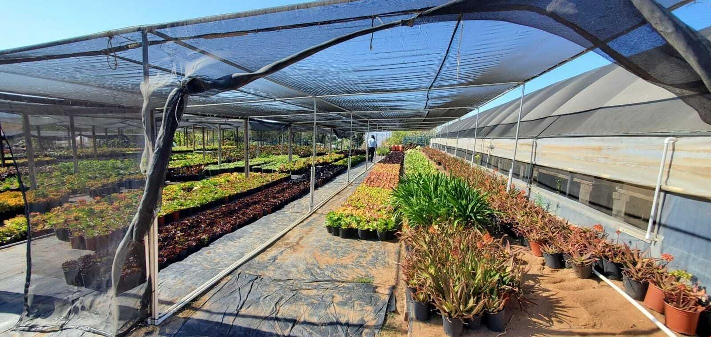 22.86 Acres Nursery in Bonsall