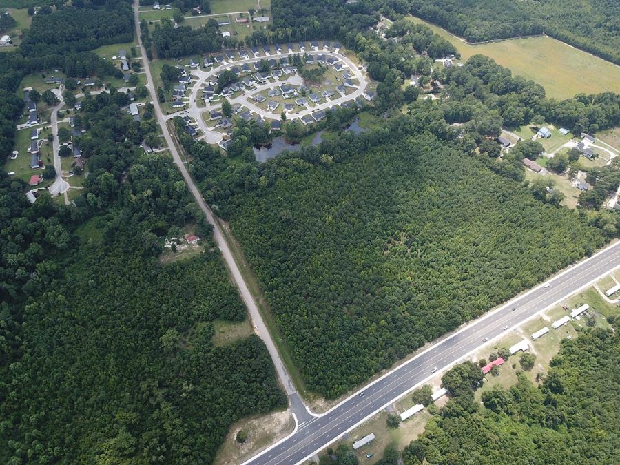 Alligator Rd
