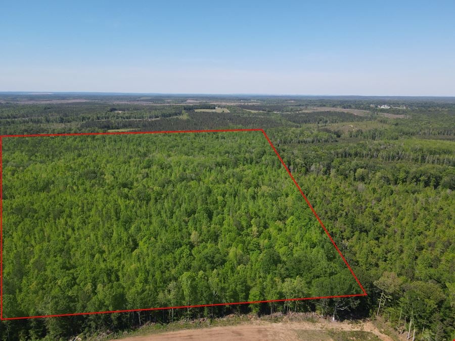 +/-160 Acres Recreation or Timberland