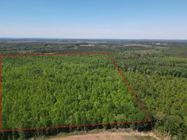 +/-160 Acres Recreation or Timberland