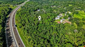 Lutz Premier Development Site