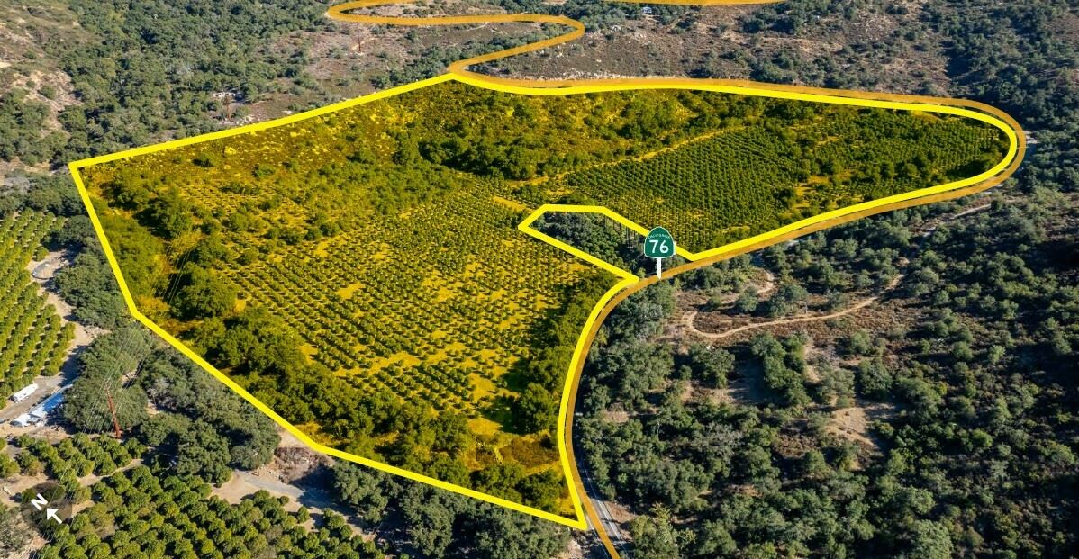 47.54 Acre Organic Citrus Grove