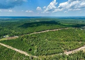 223 Acres on Wire Road