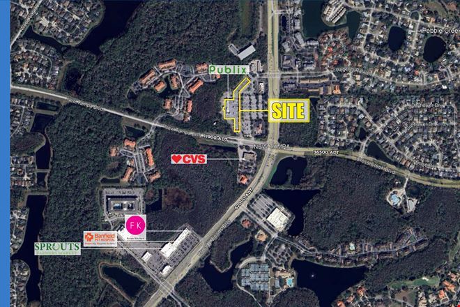 New Tampa Center