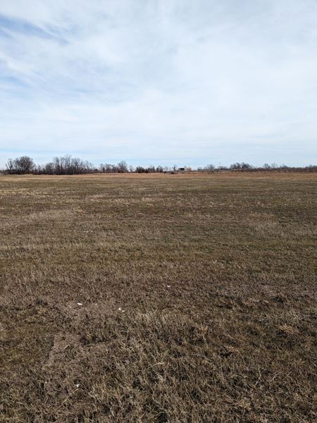 Photo of commercial space at AR-463 in Bay