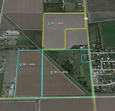 30 +/- Acres Development/Farmland - Mercedes