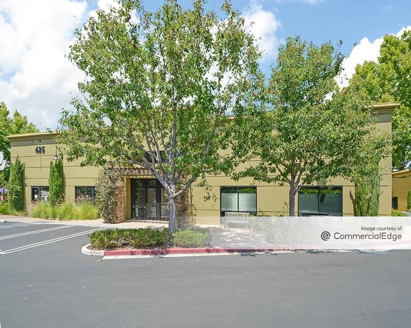 The Vineyard