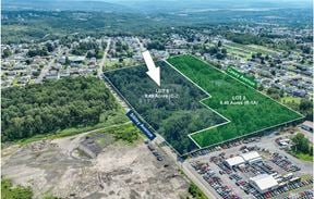 Vacant Land-9.49+/- Acres (LOT 01), Sibley Avenue