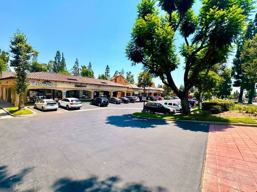 Sycamore Plaza: Shop Spaces in Retail Strip Center