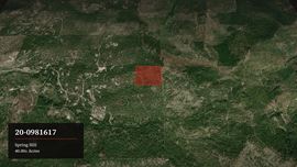 40 Wooded Acres near Kalispell: Classic Montana Forty