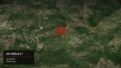 A Classic Montana Forty: 40 Wooded Acres near Kalispell
