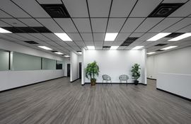 Platinum Commons