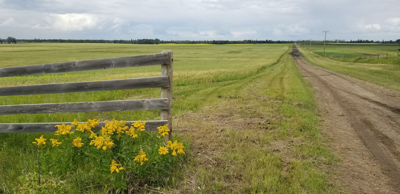 VIEWRIDGE FUTURE DEVELOPMENT LAND