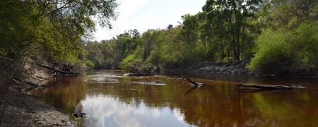 Alapaha River Hunting and Recreation Tract - Jasper