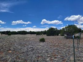 Bullion Rd