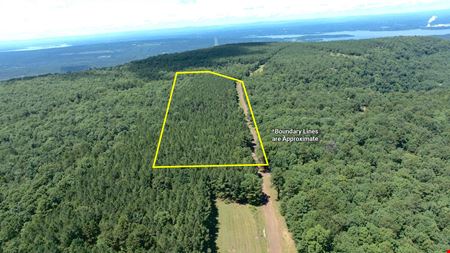 VacantLand space for Sale at Spring Mountain Road in Dardanelle