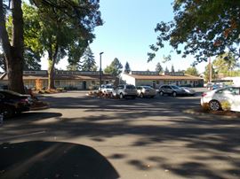 Tuality Professional Plaza