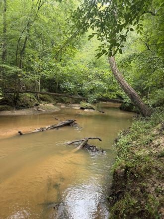Highway 20 - 131.12 Acres