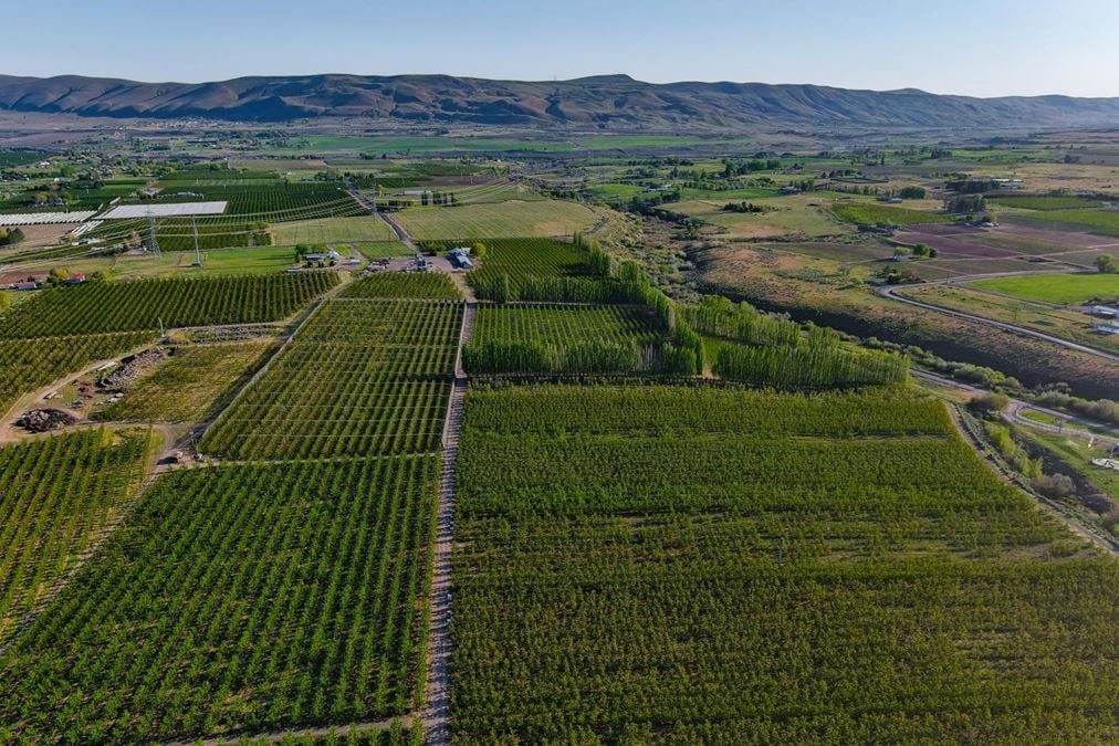 Benton Acord Orchard