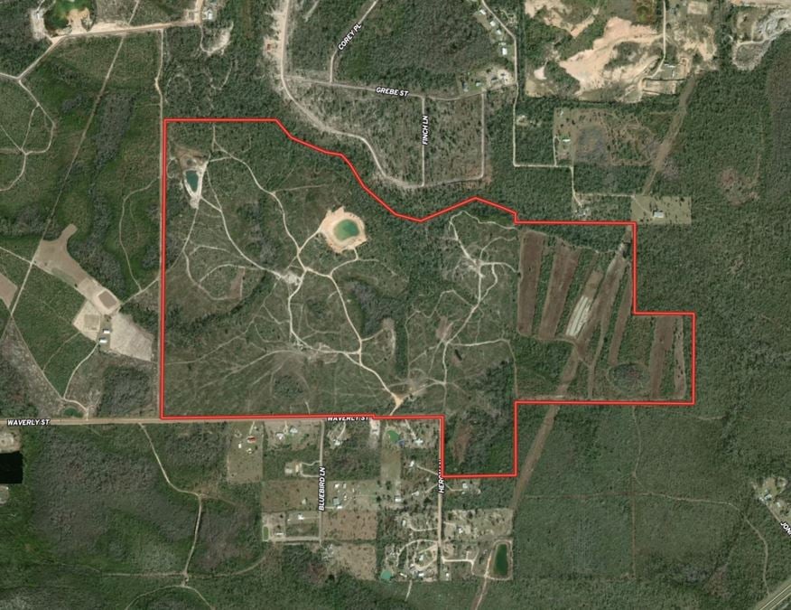 340+/- Acre Recreational/Development Land Bay County, FL