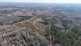 Monticello Homesite & Investment Land