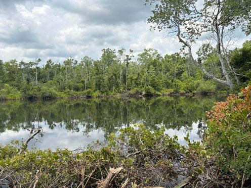 Land for Sale - Bushy Park Rd