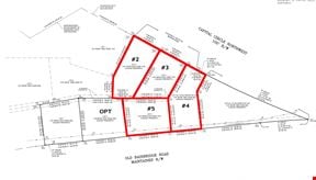 Capital Circle NW & Old Bainbridge lots for sale