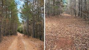 ±105-Acre Recreational Tract with Practical Homestead Sites