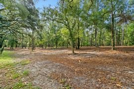 Brooksville 12 Acre Tract