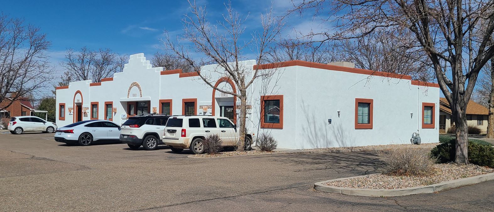 Professional Plaza South