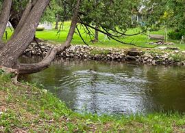 6031 M-68, Indian River Mi 