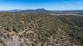 201 Pinon Trail