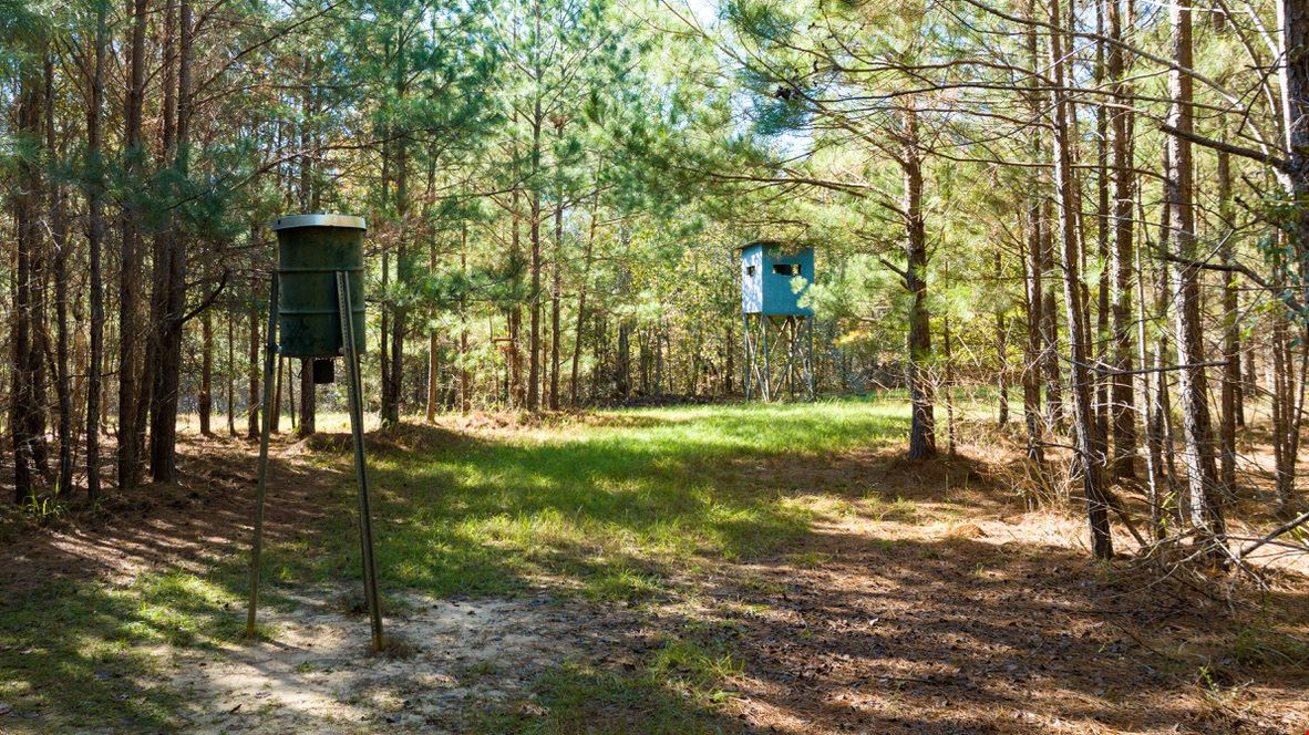 Schley County Hunting Property