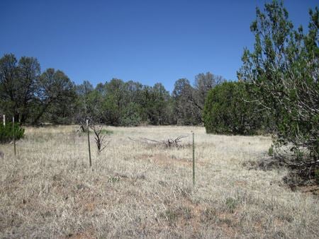 VacantLand space for Sale at 156 Jesse James Rd in Edgewood