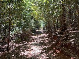 ±10 Acres of Level Land in Forbestown, CA