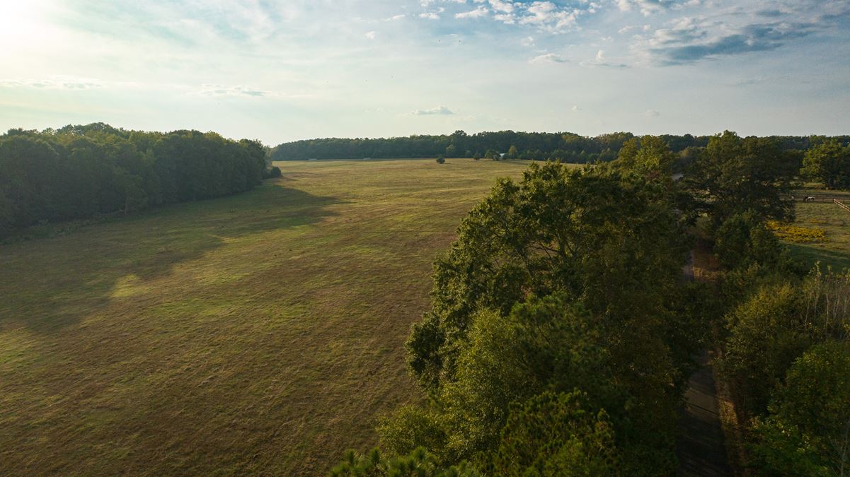 Ashor Farms