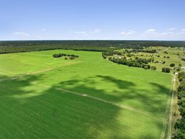688± Acre Turn Key Farm Operation in Marion County