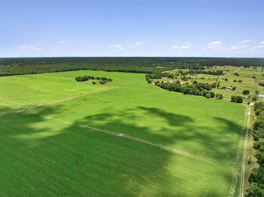 688± Acre Turn Key Farm Operation in Marion County