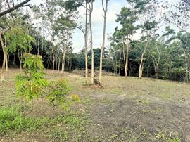 Outdoor Storage Lease Opportunity - Off Martinez Nadal Expressway @ Guaynabo