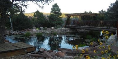11 Nature Pointe Dr