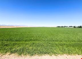 Excellent Vegetable Farmland: ±110 Water Acres in Wellton