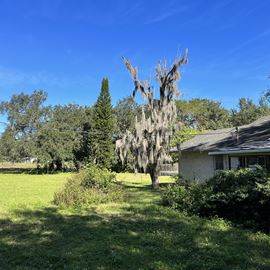 1.30 Acres of Commercial 540A Lakeland, FL
