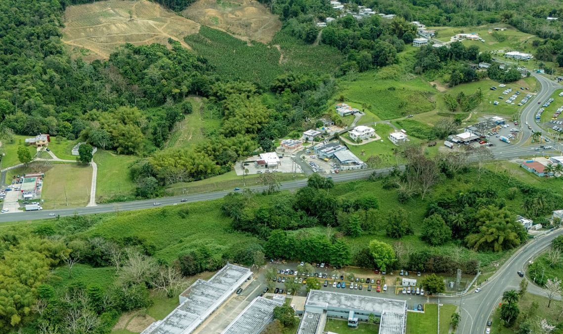 Prime Commercial Land in San Sebastian with Frontage To PR-111 - For Sale