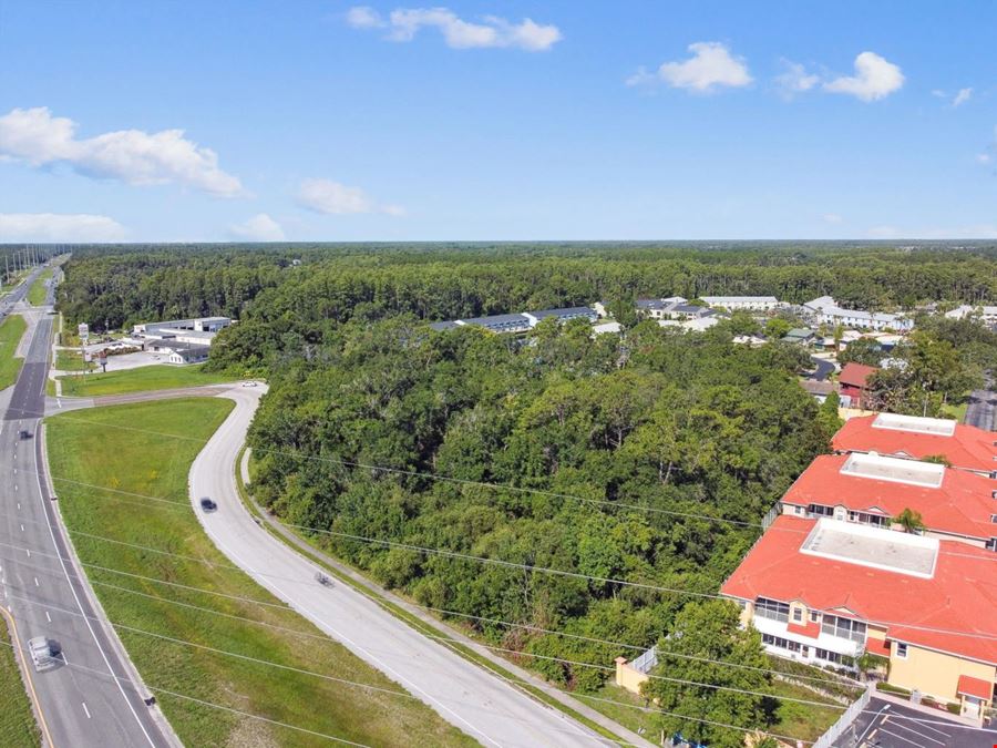1703-1711 Dale Mabry Hwy 