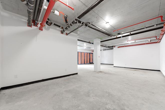 1,000 SF | 134 Erasmus Street | Modern Glass Storefront in Flatbush for Lease